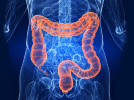 ¿Sabes la importancia de cuidar tu intestino?