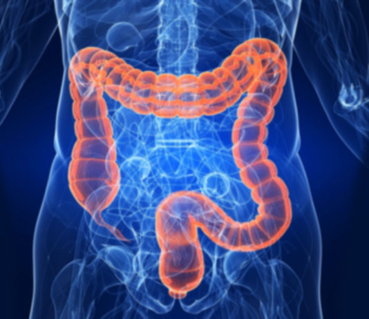 ¿Sabes la importancia de cuidar tu intestino?