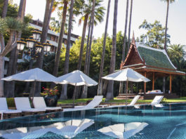 El Hotel Botánico se une a la corriente solidaria y refuerza el mantenimiento de sus instalaciones